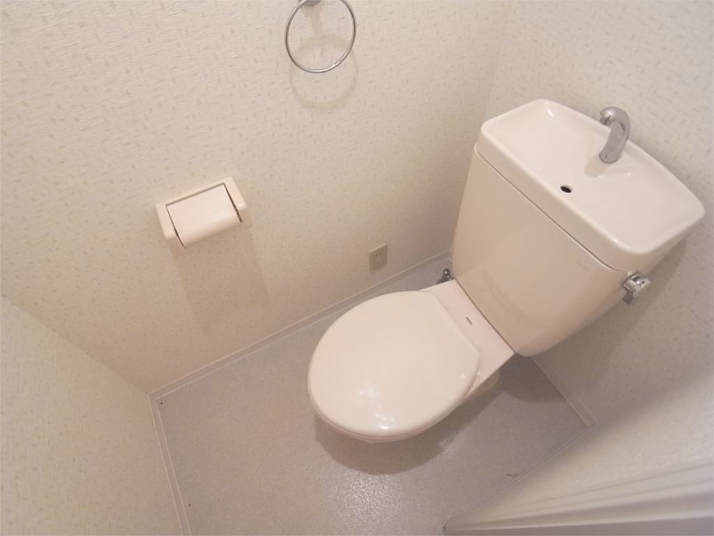 エーデルワイス その他1