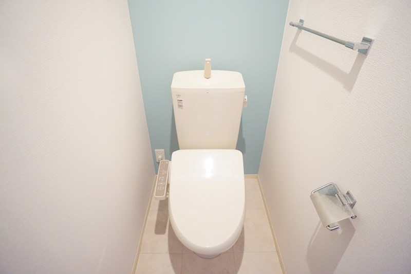 アバンサール　ピノ その他1