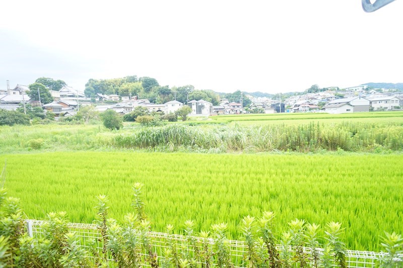 メゾンレックス その他42