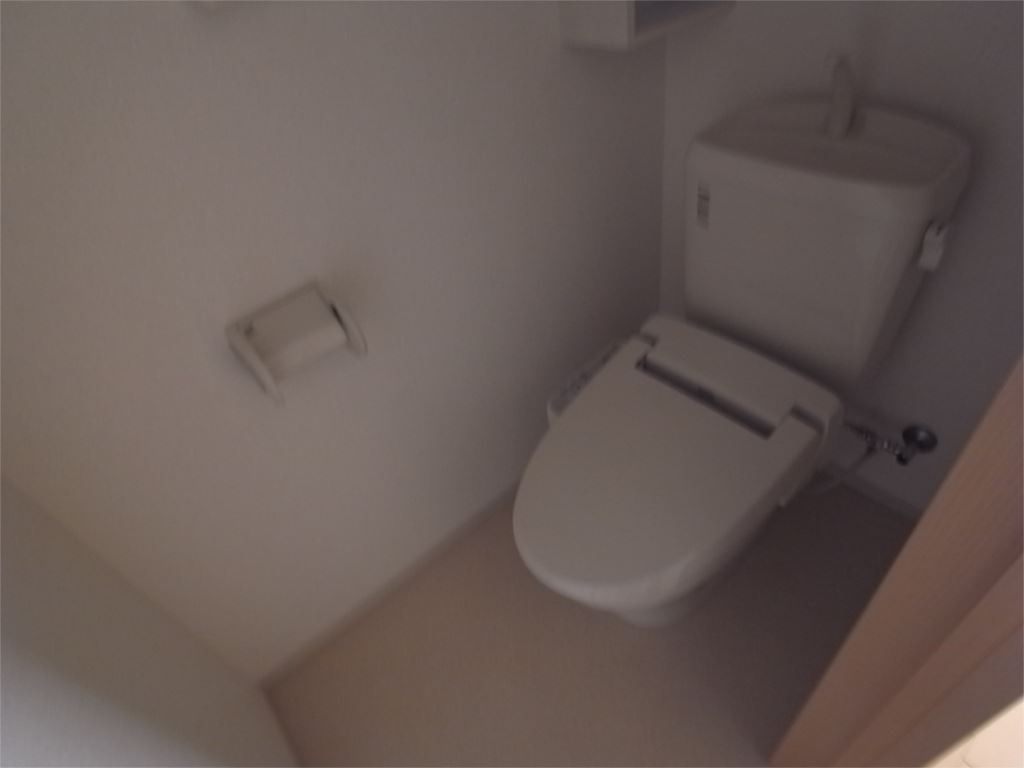 プロミネント その他1