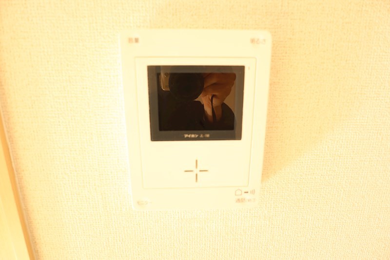 プロミネント その他1