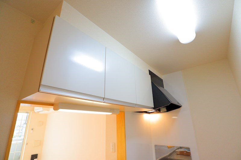 プロミネント その他18