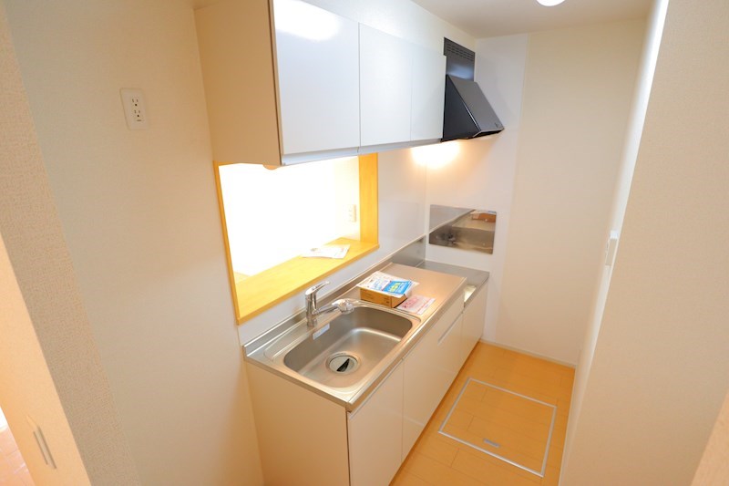 プロミネント その他19