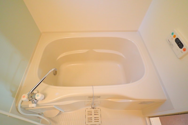 プロミネント その他24