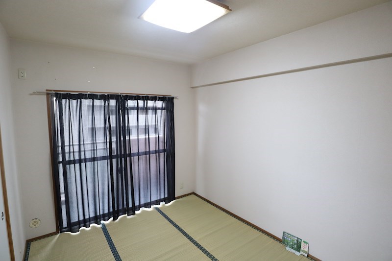 プチサンク その他8