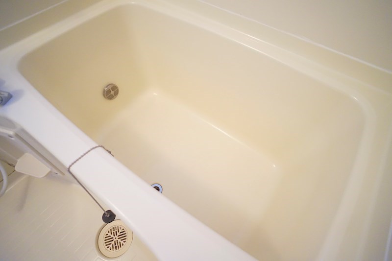 コスモス　オーゼ その他40