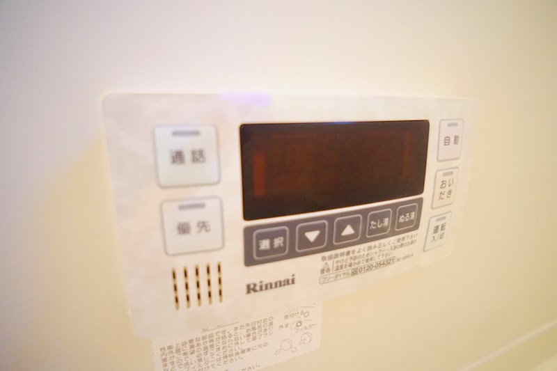 コスモス　オーゼ その他42