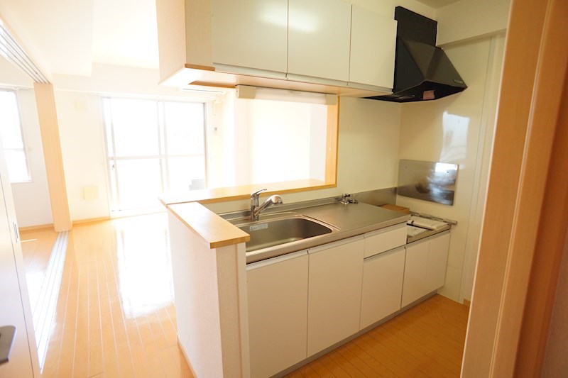 フェリス その他16