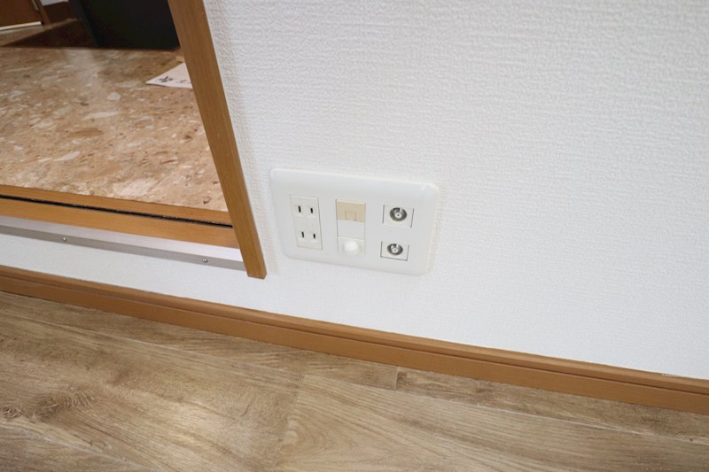 アレグリア桜 その他31