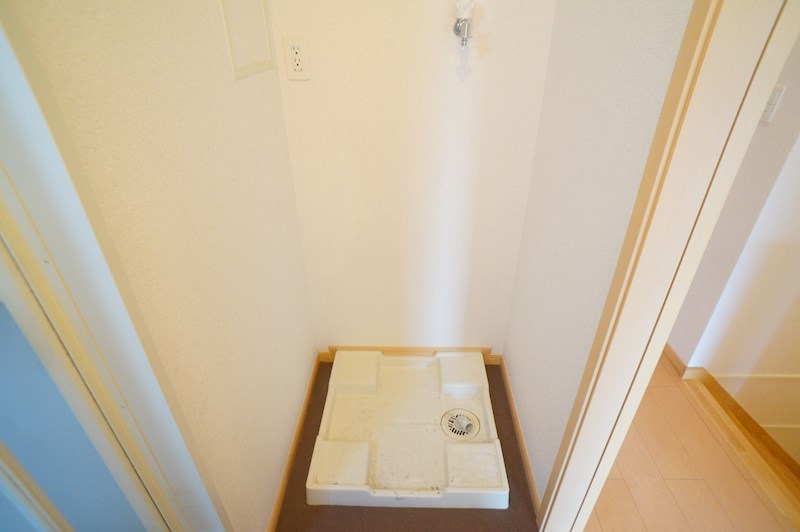 エレガンシア その他5