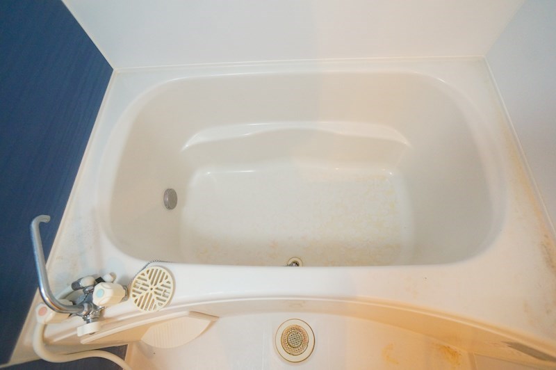 エレガンシア その他17