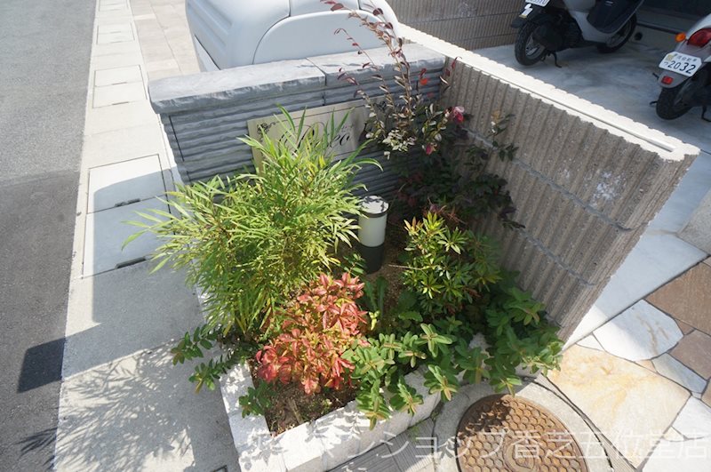 パセオＥ棟 その他外観4