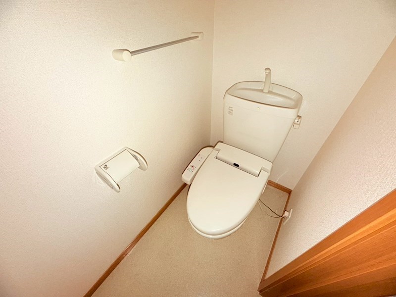 アプリコット その他1