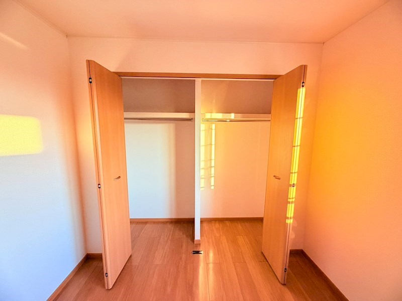 アプリコット その他3