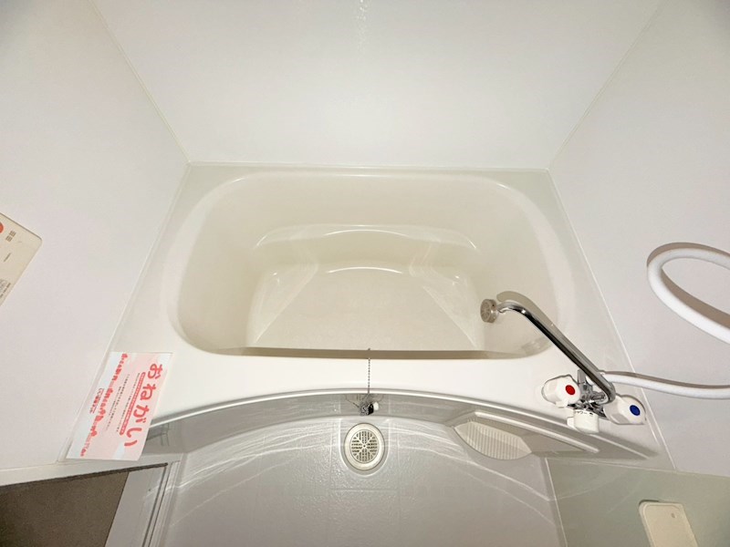 アプリコット その他28