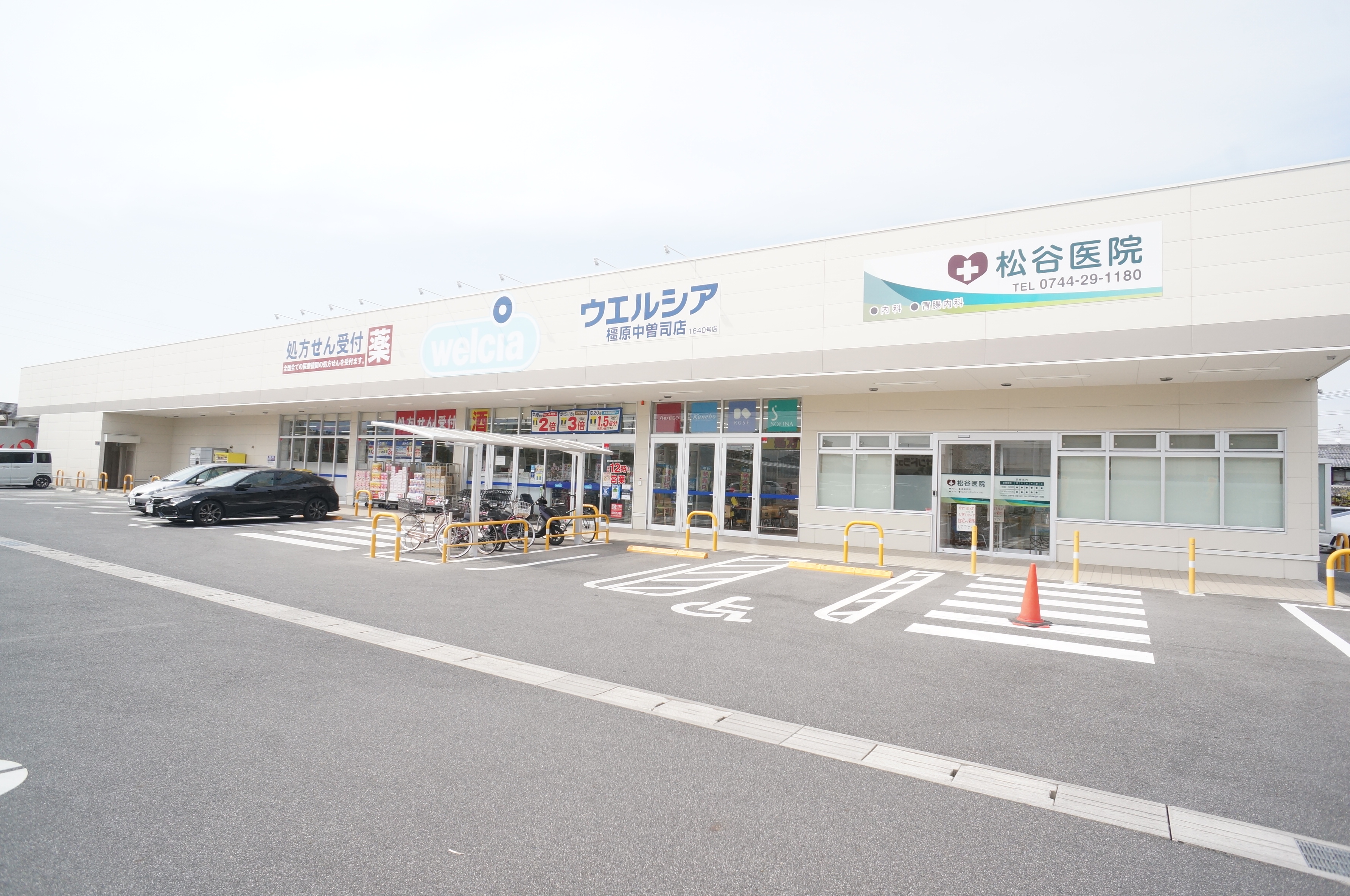 ロータス 周辺画像5