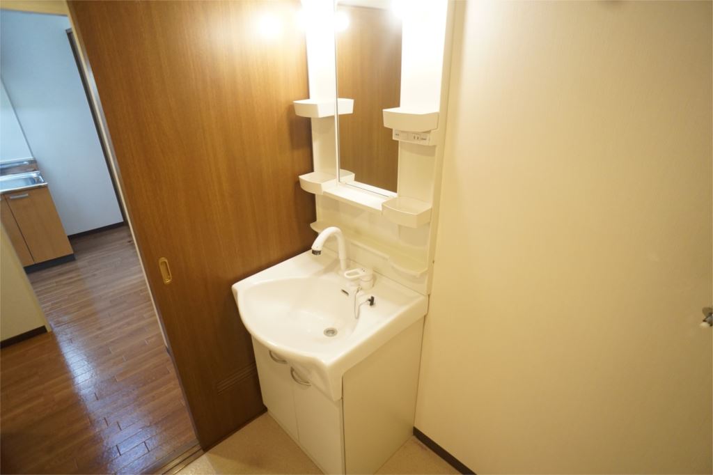 ドルフⅢ その他2