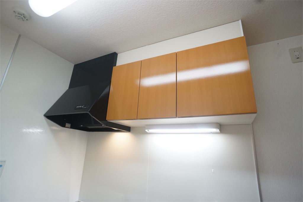 ドルフⅢ その他12