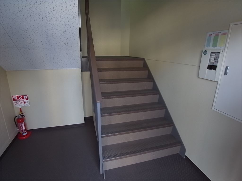 ドルフⅢ その他16