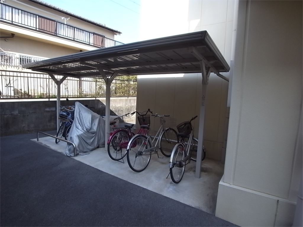 ドルフⅢ その他17