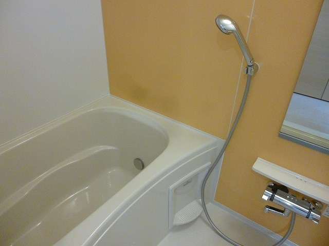 ヴェル・ドミール 風呂画像