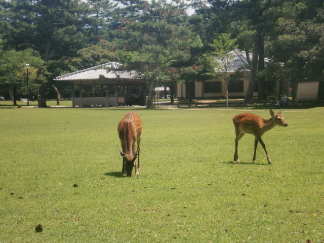 リヴェール梅尾 周辺画像8