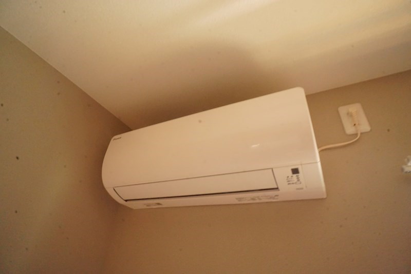 パシャ　ラルフ その他3