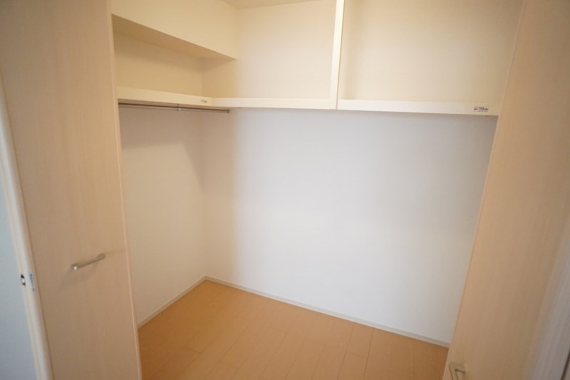 グリーン・フォーレスト その他5