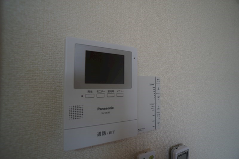 アムール　Ｈａｌｅｋｕｌａｎｉ その他12