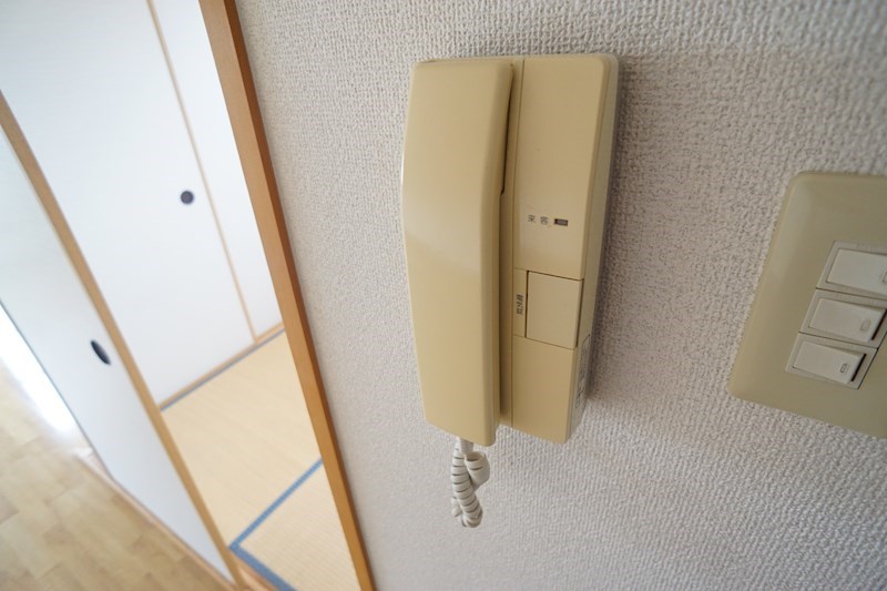 ヴェルドミール その他4