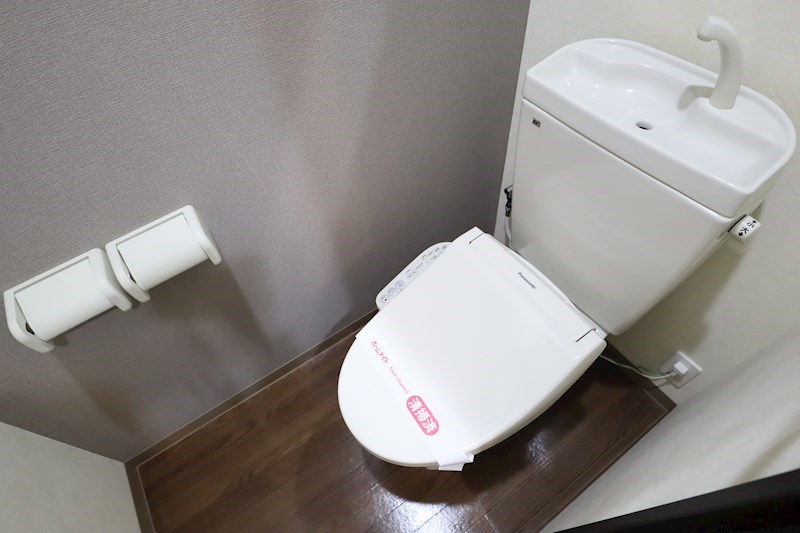 プロキオン その他2