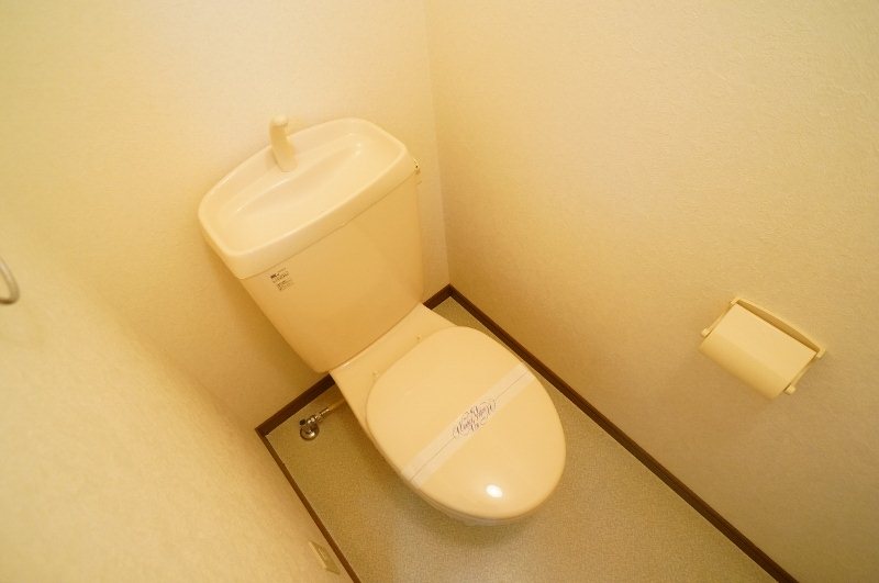 アンプルール　フェール　ヴェルジュ その他1