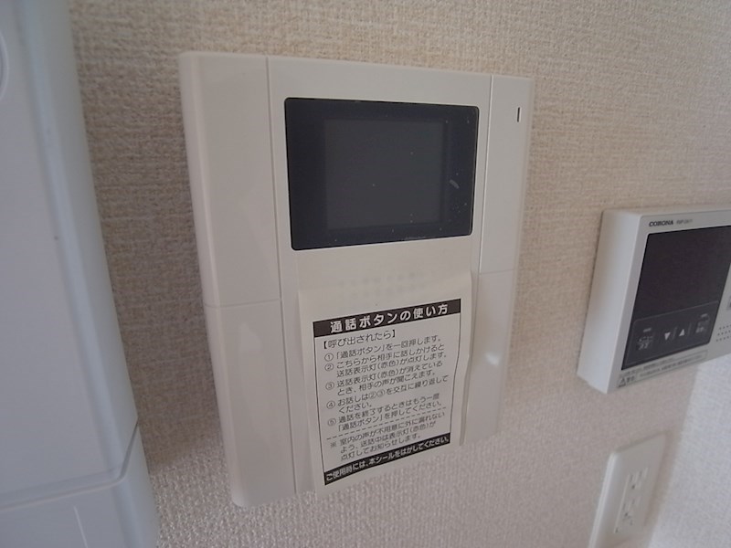カーサーカトレア その他1