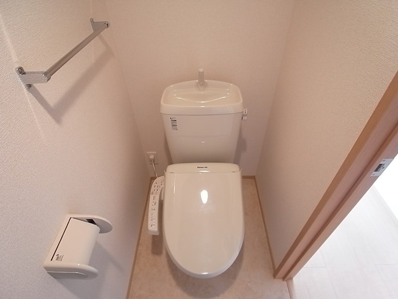 カーサーカトレア その他3