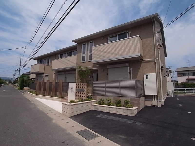 カーサーカトレア その他6