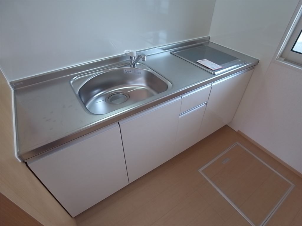 カーサーカトレア その他7