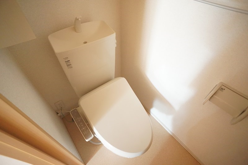 アライブ・サピー その他1