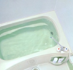 アライブ・サピー その他12