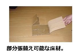 アライブ・サピー その他20