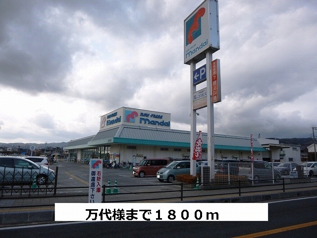 アライブ・サピー 周辺画像6