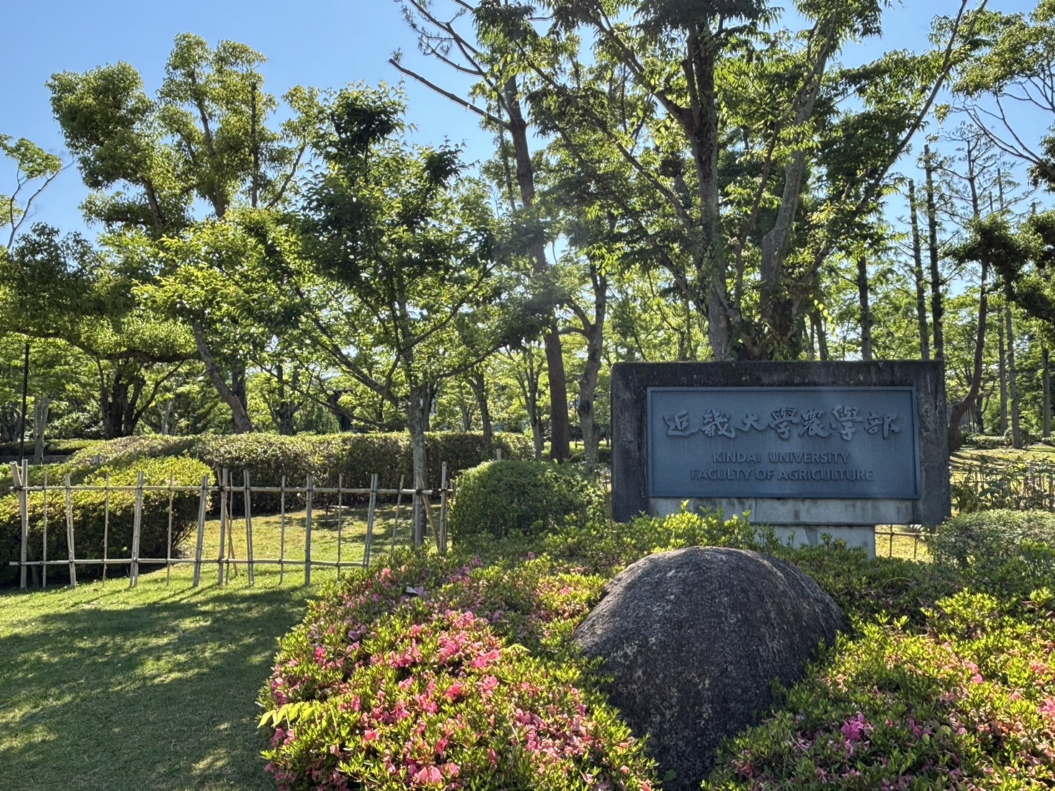 サンシャイン　富雄駅前 周辺画像4