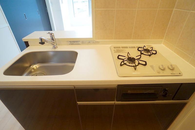 Gemini　Ⅰ その他15