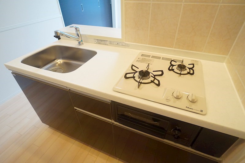 Gemini　Ⅰ その他16