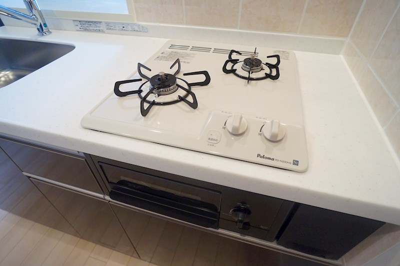 Gemini　Ⅰ その他17