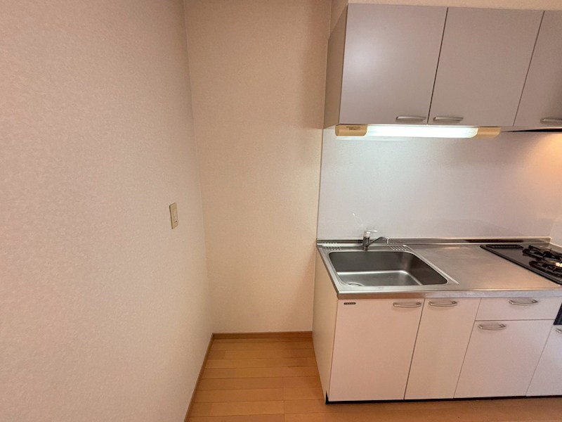 アムール野村Ⅰ その他12