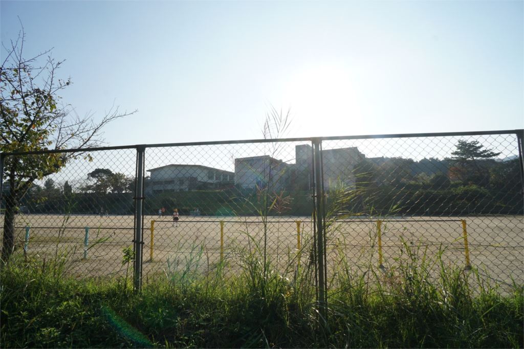 シャーメゾン　コトー 周辺画像5