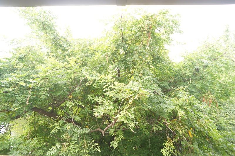 Ｈａｌｅ学園前 その他11