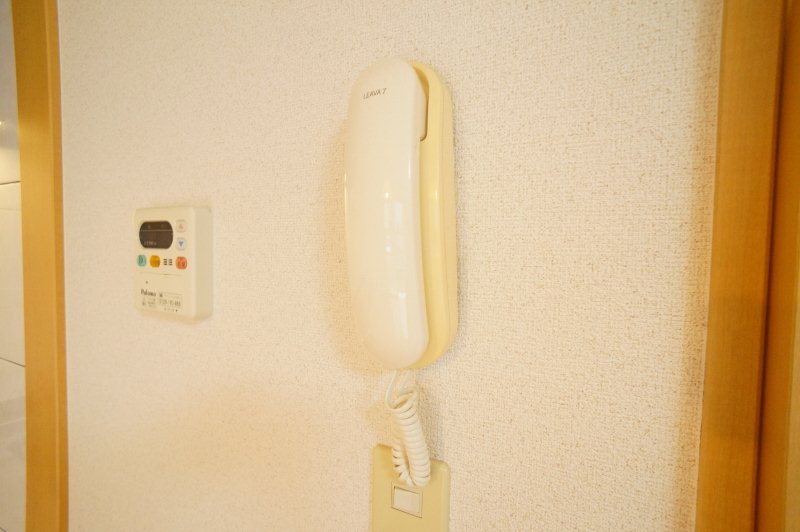 マカナ・ヌイ光台 その他4