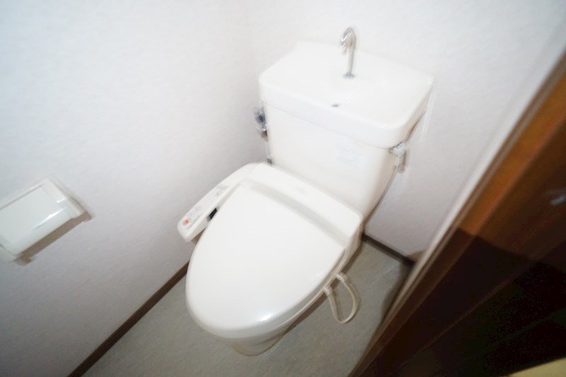 プロシード その他1