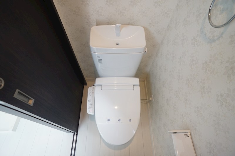 アッシュビーアコダ その他2